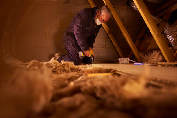 Best Eco-Friendly or Green Insulation Solutions  in North Shore, CA